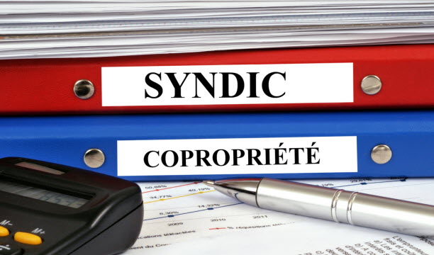 Le syndic de copropriété informera les propriétaires et inscrira ce sujet à l’ordre du jour de la prochaine réunion.
