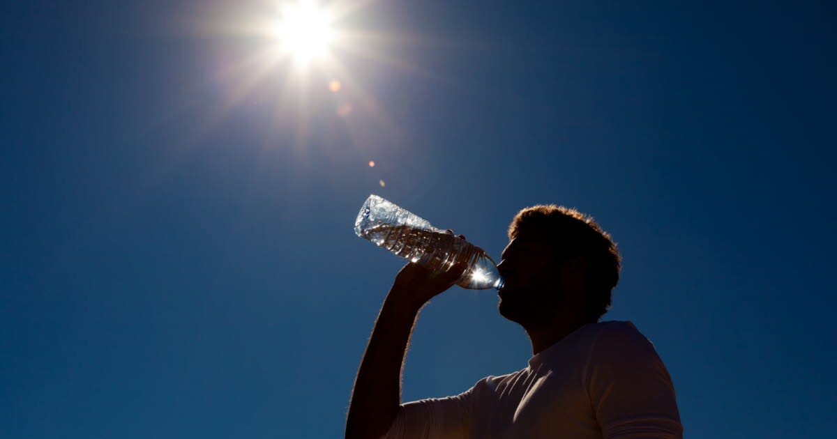 Les meilleures boissons à privilégier et à éviter lors de la canicule