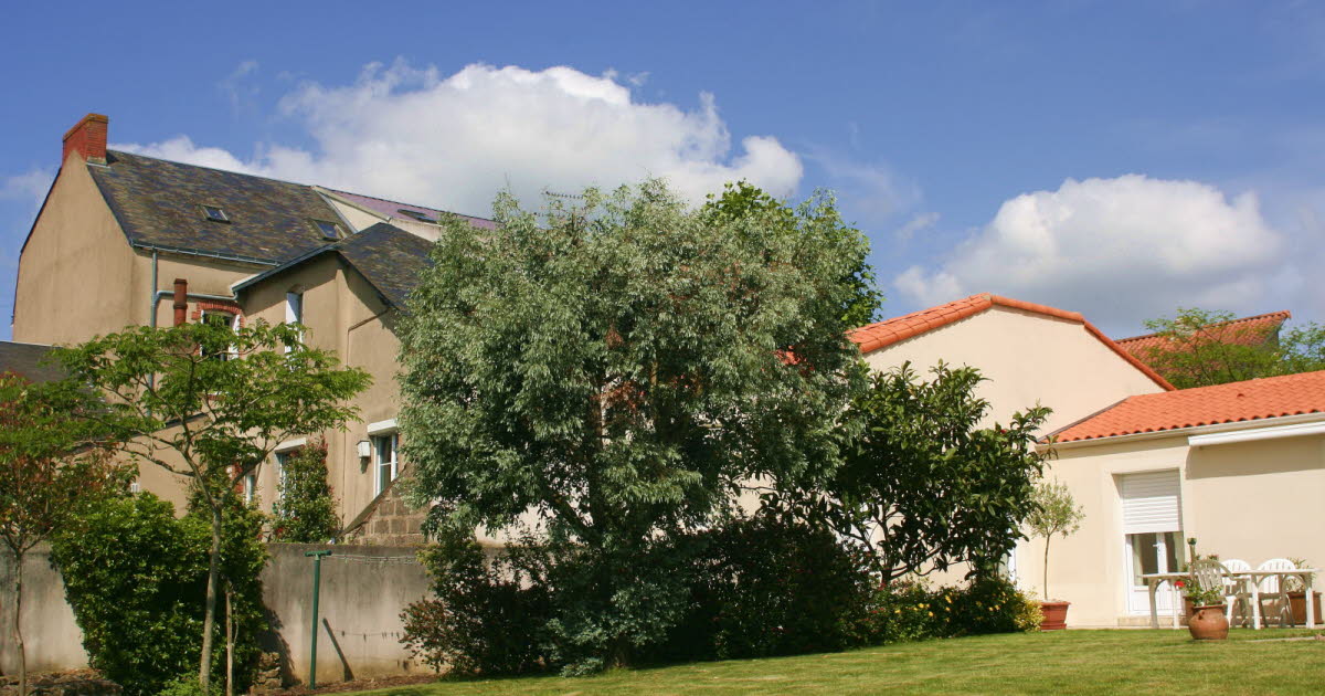 Peut-on couper les branches d’un voisin qui dépassent sur votre terrain ?