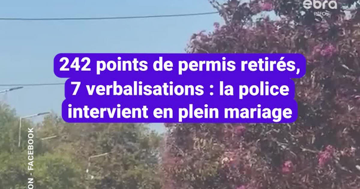 Rhône : la police intervient lors d’un mariage, 87 amendes et 242 points retirés